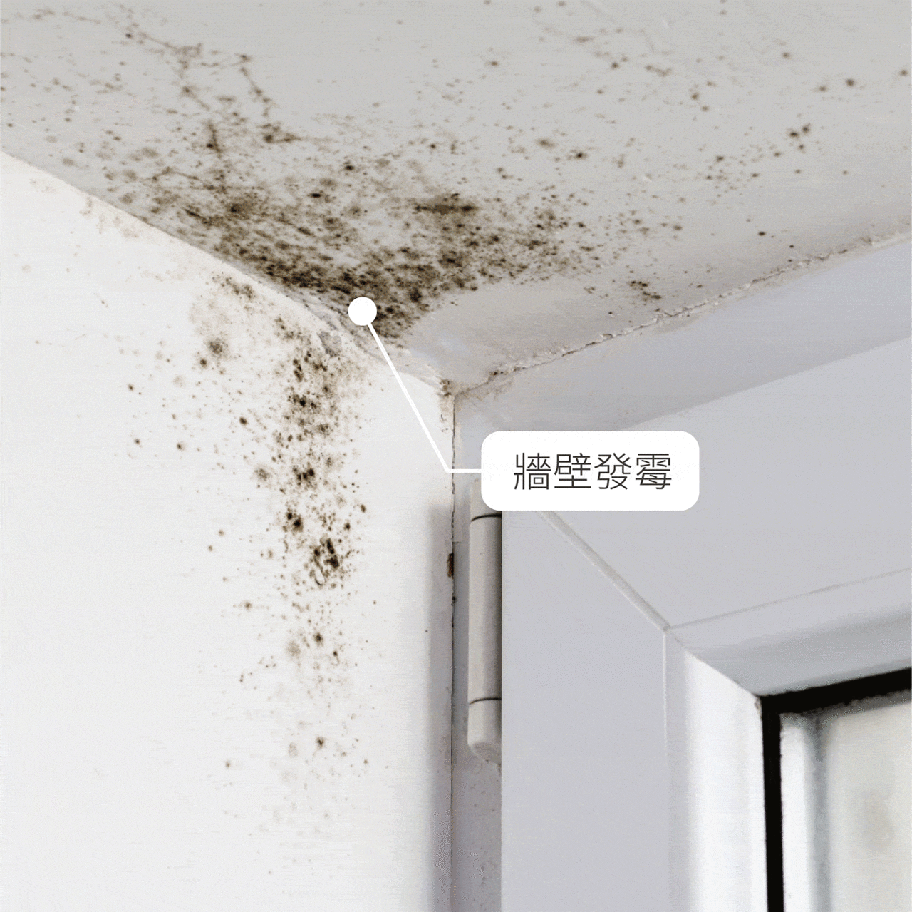 AirDoctor 空氣除菌極淨瓶-3