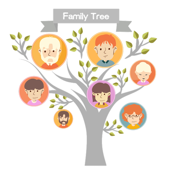 家族系統排列能療癒家族遺傳情緒